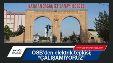 OSB&rsquo;den elektrik tepkisi