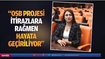&ldquo;OSB projesi itirazlara rağmen hayata ge&ccedil;iriliyor&rdquo;