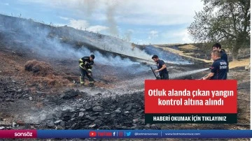 Otluk alanda &ccedil;ıkan yangın kontrol altına alındı