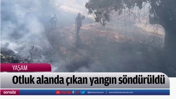 Otluk alanda &ccedil;ıkan yangın s&ouml;nd&uuml;r&uuml;ld&uuml;