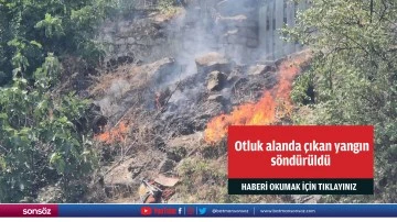 Otluk alanda &ccedil;ıkan yangın s&ouml;nd&uuml;r&uuml;ld&uuml;