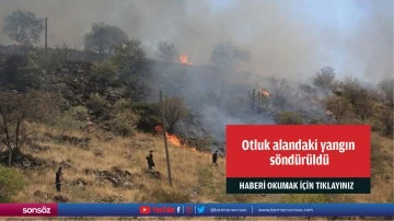 Otluk alandaki yangın s&ouml;nd&uuml;r&uuml;ld&uuml;