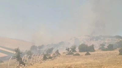 Otluk ve makilik alanda &ccedil;ıkan yangın s&ouml;nd&uuml;r&uuml;ld&uuml;