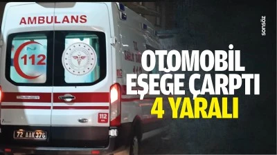 Otomobil, eşeğe &ccedil;arptı: 4 yaralı