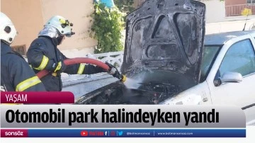 Otomobil park halindeyken yandı 