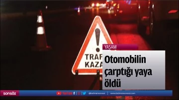 Otomobilin &ccedil;arptığı yaya &ouml;ld&uuml;