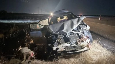 Otomobilin koyun s&uuml;r&uuml;s&uuml;ne &ccedil;arpması sonucu 3 kişi yaralandı