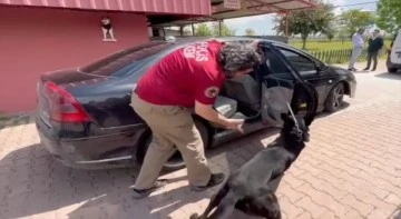 Otomobilinde eroin bulunan s&uuml;r&uuml;c&uuml; tutuklandı