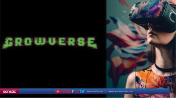 Oyun ve NFT sekt&ouml;r&uuml;nde yeni heyecan; Growverse