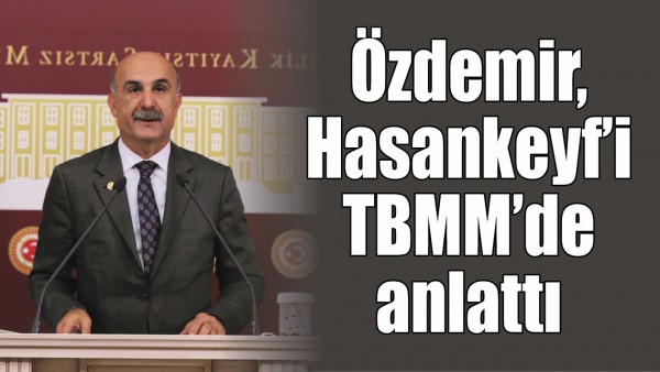 &Ouml;ZDEMİR, HASANKEYF&rsquo;İ TBMM&rsquo;DE ANLATTI