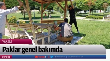 Paklar genel bakımda