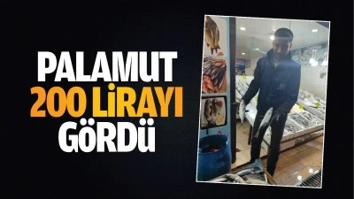 Palamut, 200 lirayı g&ouml;rd&uuml;