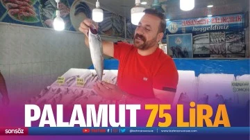 Palamut 75 lira&hellip;