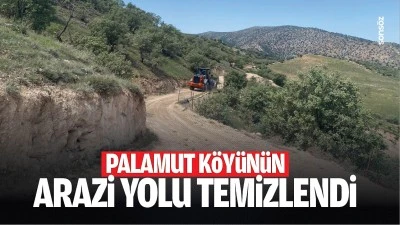 Palamut K&ouml;y&uuml;n&uuml;n arazi yolu temizlendi