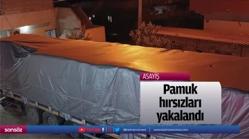 Pamuk hırsızları yakalandı