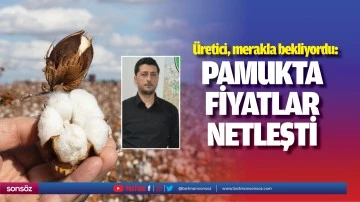 Pamukta fiyatlar netleşti
