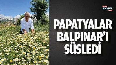 Papatyalar Balpınar&rsquo;ı s&uuml;sledi