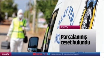 Par&ccedil;alanmış ceset bulundu