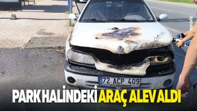 Park halindeki ara&ccedil; alev aldı