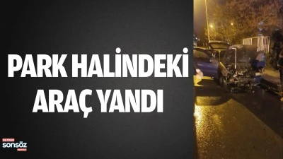 Park halindeki ara&ccedil; yandı
