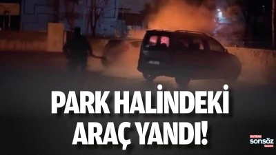 Park halindeki ara&ccedil; yandı!