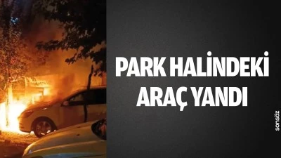 Park halindeki ara&ccedil; yandı