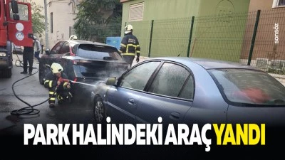 Park halindeki ara&ccedil; yandı