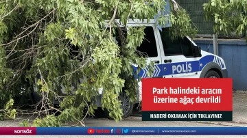 Park halindeki aracın &uuml;zerine ağa&ccedil; devrildi