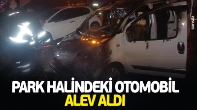 Park halindeki otomobil alev aldı