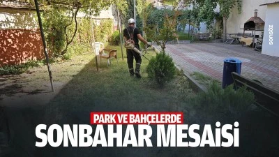Park ve bah&ccedil;elerde sonbahar mesaisi