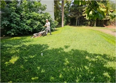 Park ve yeşil alanlar bakıma alındı