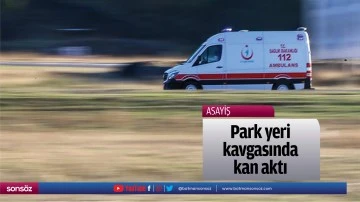 Park yeri kavgasında kan aktı
