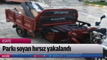 Parkı soyan hırsız yakalandı