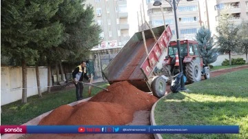 Parkta d&uuml;zenleme &ccedil;alışması