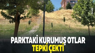 Parktaki kurumuş otlar tepki &ccedil;ekti