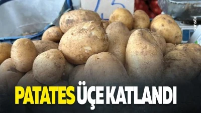 Patates &uuml;&ccedil;e katlandı