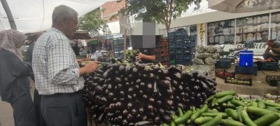 Patlıcan 12 TL