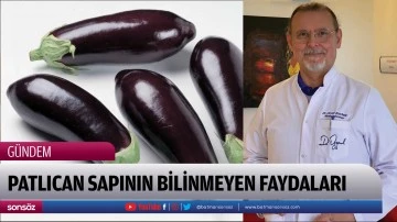 Patlıcan Sapının Bilinmeyen Faydaları