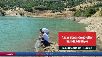 Pazar il&ccedil;esinde g&ouml;letler balıklandırılıyor