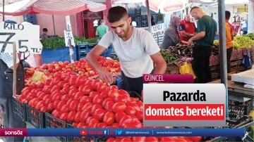 Pazarda domates bereketi