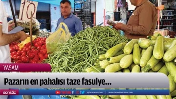 Pazarın en pahalısı taze fasulye&hellip;