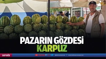 Pazarın g&ouml;zdesi karpuz