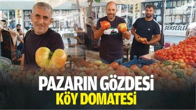 Pazarın g&ouml;zdesi k&ouml;y domatesi&hellip;
