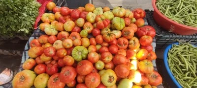 Pazarın g&ouml;zdesi k&ouml;y domatesi