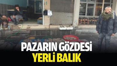 Pazarın g&ouml;zdesi yerli balık