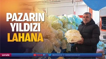 Pazarın yıldızı lahana