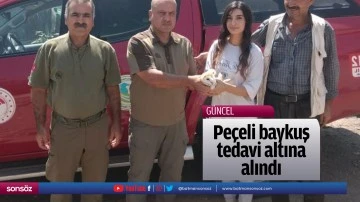 Pe&ccedil;eli baykuş tedavi altına alındı