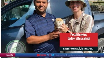 Pe&ccedil;eli baykuş tedavi altına alındı