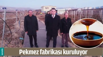 PEKMEZ FABRİKASI KURULUYOR