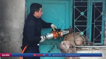 Pencereye sıkışan k&ouml;pek kurtarıldı